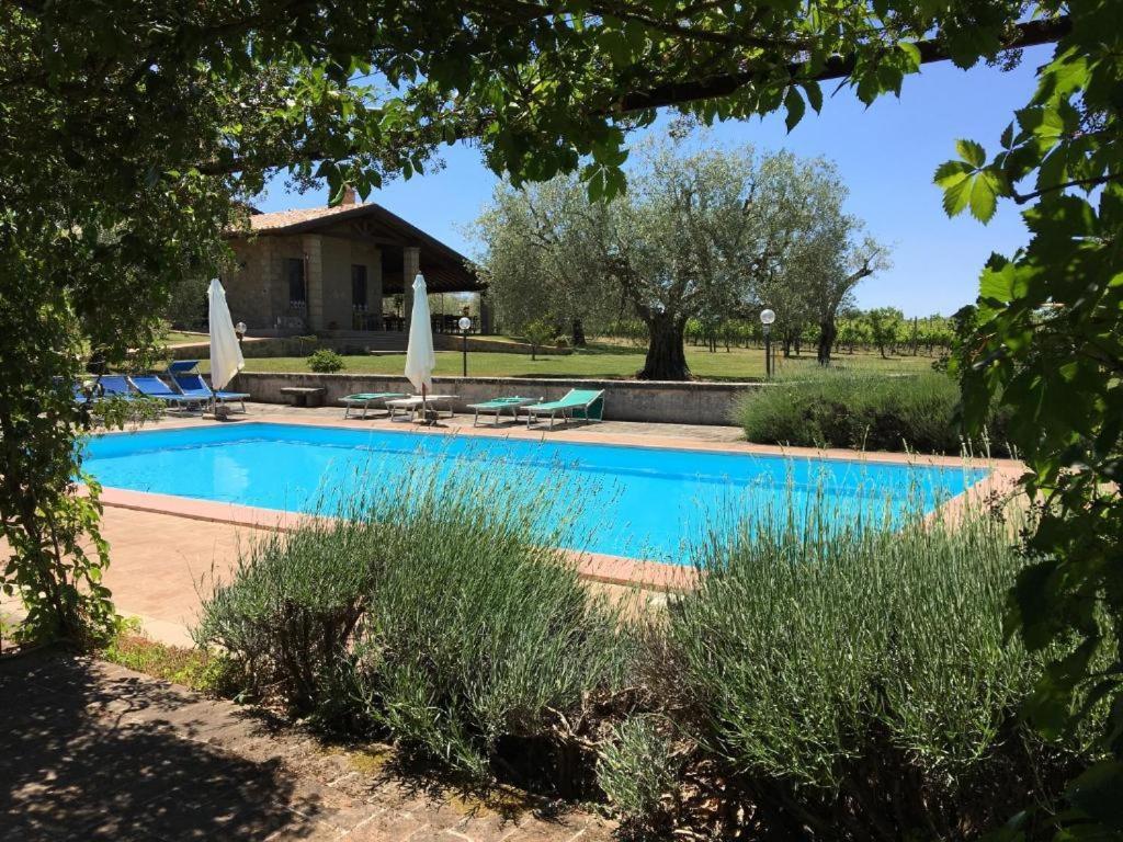 Agriturismo Eco-Bio Villa Vacasio Pitigliano Exterior photo